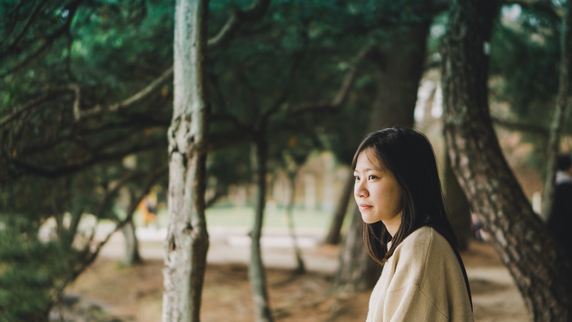 Best Korean Dating Sites | Find Single Women In Korea